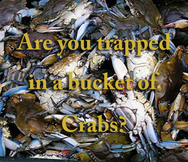 bucket of crabs